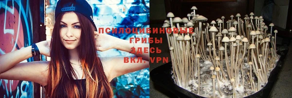 спайс Баксан