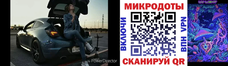 darknet формула Белово Галлюциногенные грибы Psilocybe