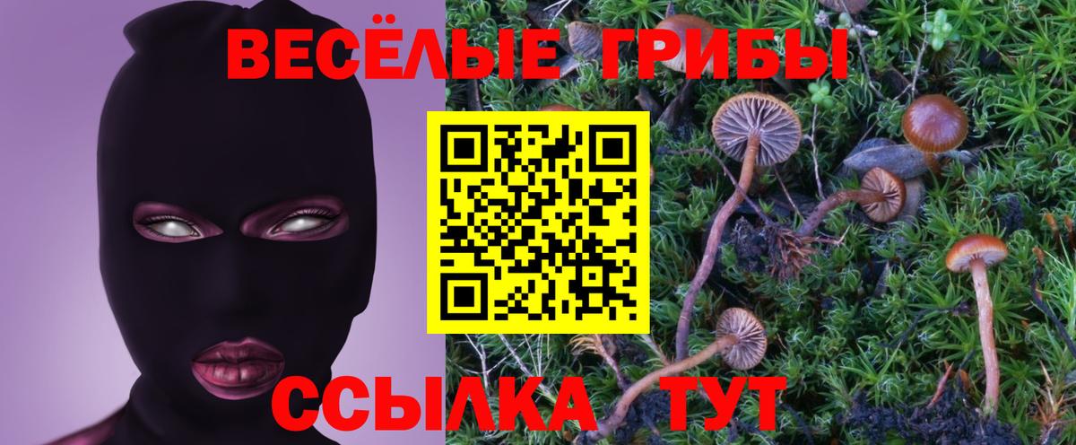 Псилоцибиновые грибы мухоморы  Вход с VPN  Белово  Псилоцибиновые грибы мухоморы 